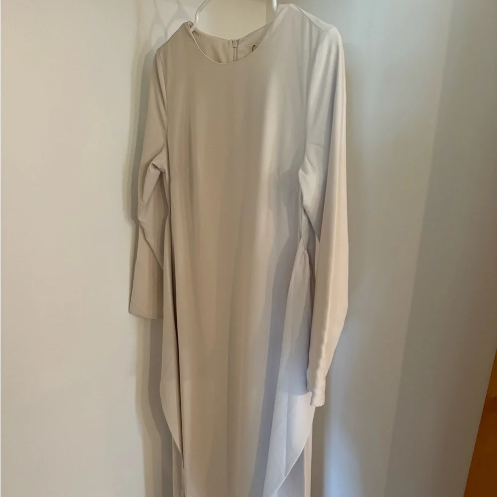 Veiled Collection Dress - Picture 4 of 12